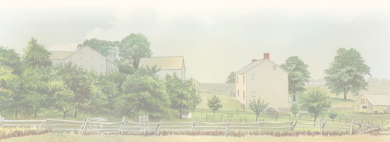 Ralston and Brown Stockade - Irish Settlement